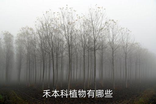 禾本科植物有哪些