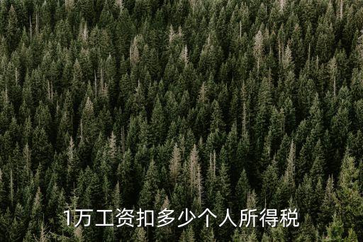 1萬工資扣多少個人所得稅