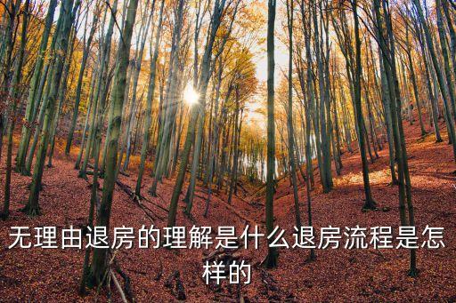 無理由
