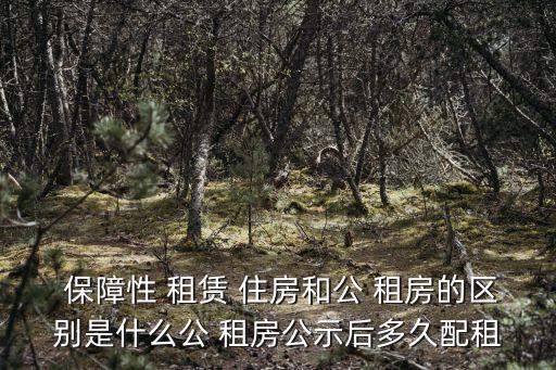 西安保障性租賃住房和公租房區(qū)別