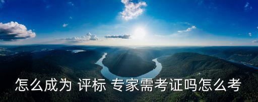 評(píng)標(biāo)專家