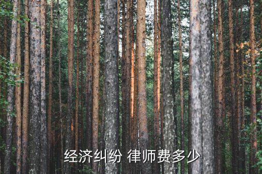 經(jīng)濟(jì)案件律師收費(fèi)標(biāo)準(zhǔn),一般經(jīng)濟(jì)案件律師收費(fèi)標(biāo)準(zhǔn)