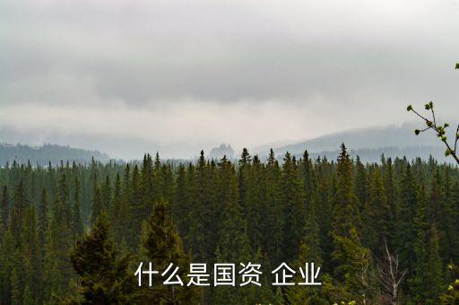 什么是國資 企業(yè)
