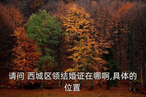 西城區(qū)民政局