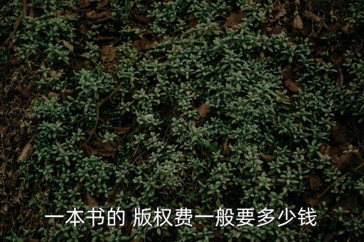 一本書的 版權(quán)費一般要多少錢