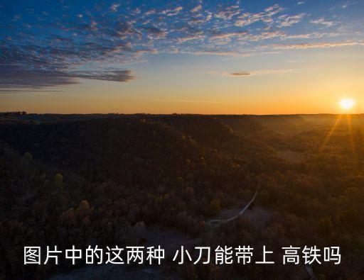圖片中的這兩種 小刀能帶上 高鐵嗎