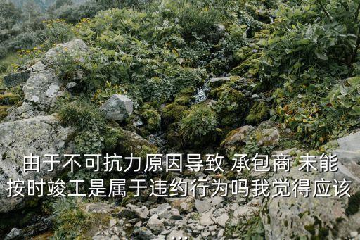 由于不可抗力原因?qū)е?承包商 未能按時竣工是屬于違約行為嗎我覺得應(yīng)該...