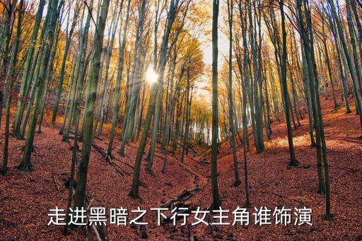 走進(jìn)黑暗之下行女主角誰飾演