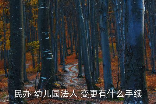 民辦 幼兒園法人 變更有什么手續(xù)
