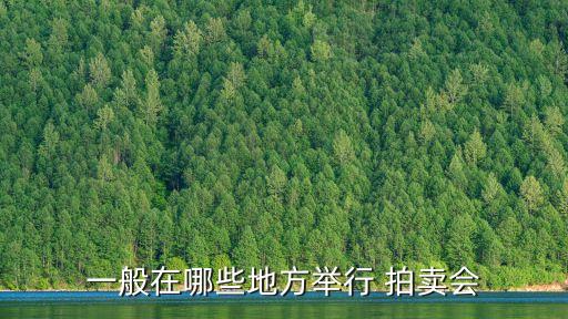 一般在哪些地方舉行 拍賣會(huì)