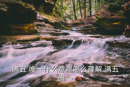 房子滿五唯一是什么意思,賣房子最快的平臺(tái)
