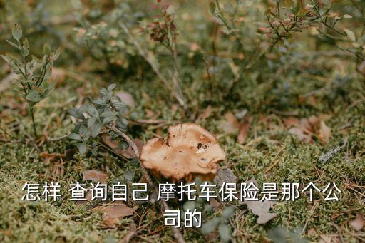 摩托車保險查詢,中國人保摩托車保險查詢