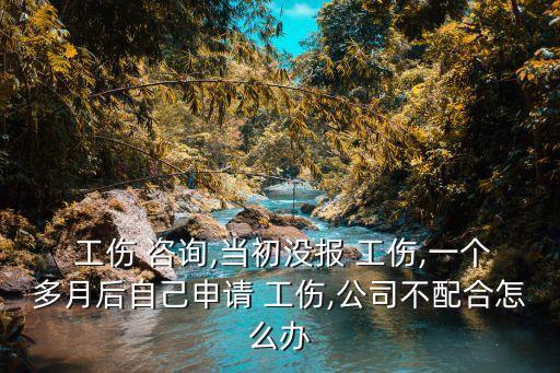  工傷 咨詢,當(dāng)初沒報(bào) 工傷,一個(gè)多月后自己申請 工傷,公司不配合怎么辦
