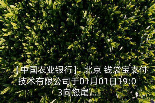 北京錢袋寶