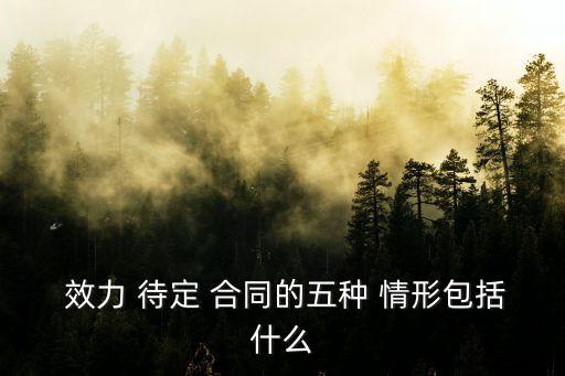 效力待定合同有哪些基本情形,導(dǎo)致效力待定合同的情形有哪些?