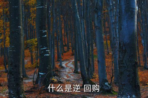 什么是逆 回購