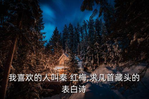 秦紅梅
