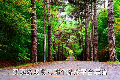 淘手游可靠嗎,趣淘手游平臺(tái)可靠嗎