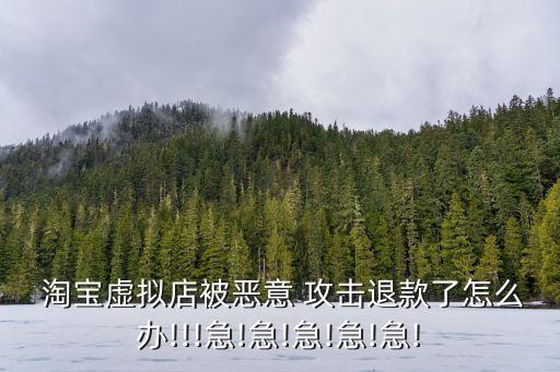  淘寶虛擬店被惡意 攻擊退款了怎么辦!!!急!急!急!急!急!