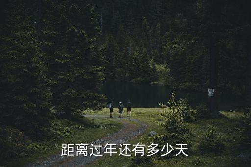 距離過(guò)年還有多少天