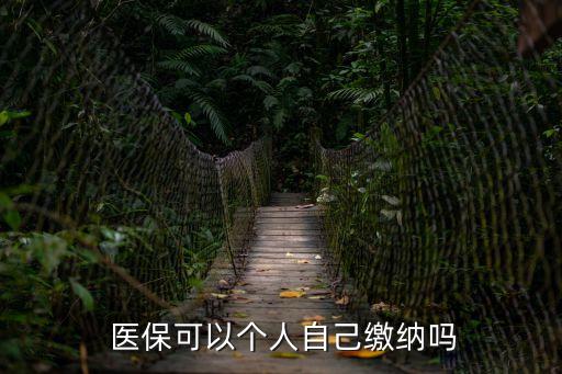  醫(yī)保可以個(gè)人自己繳納嗎