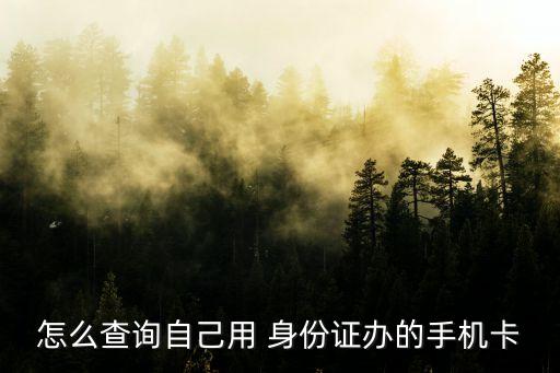 怎么查詢自己用 身份證辦的手機(jī)卡