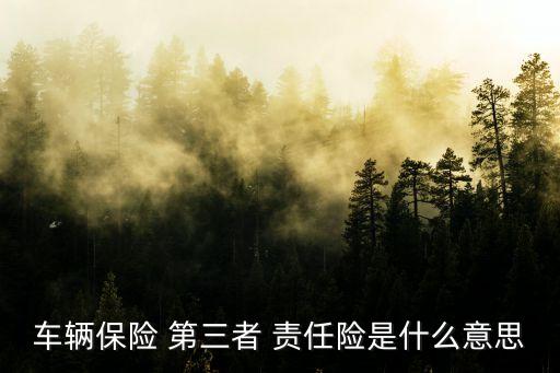 車輛保險 第三者 責任險是什么意思