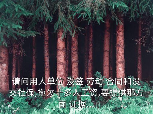 告老板沒簽勞動合同需要什么證據(jù),沒簽勞動合同一告一個準(zhǔn)嗎