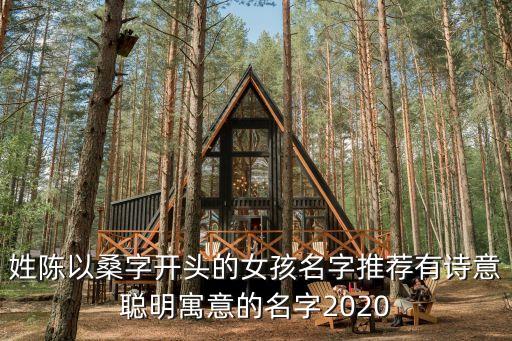 姓陳以桑字開頭的女孩名字推薦有詩意聰明寓意的名字2020