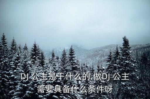 DJ 公主是干什么的.做DJ 公主需要具備什么條件呀