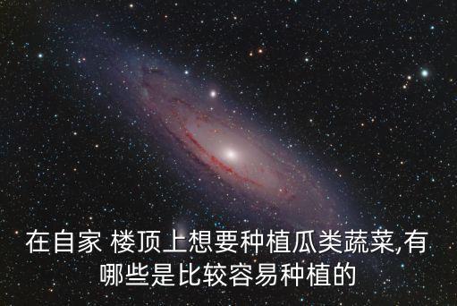 樓頂種菜