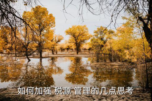 稅源管理