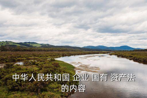 企業(yè)國(guó)有資產(chǎn)