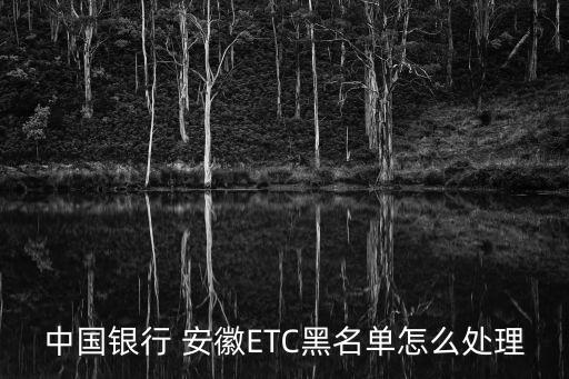 安徽etc