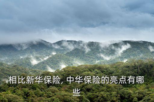 中華聯(lián)合保險(xiǎn)公司