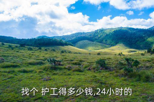 找個(gè) 護(hù)工得多少錢,24小時(shí)的