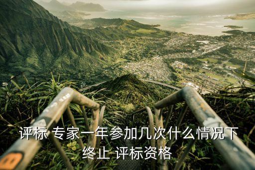  評(píng)標(biāo) 專家一年參加幾次什么情況下終止 評(píng)標(biāo)資格