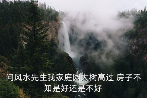 問風(fēng)水先生我家庭園大樹高過 房子不知是好還是不好