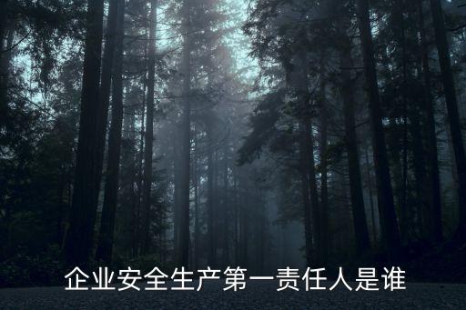 企業(yè)主要負責人