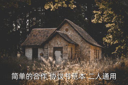 簡單的合作 協(xié)議書范本 二人通用