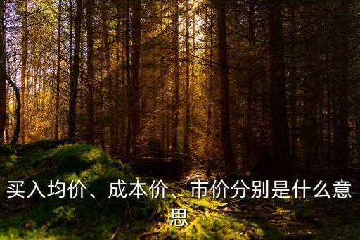 均價(jià)是什么意思,成本價(jià)和買入均價(jià)是什么意思