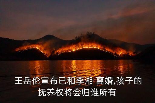 王岳倫離婚,李箱王岳倫離婚