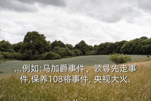 ...例如:馬加爵事件、領(lǐng)導(dǎo)先走事件,保養(yǎng)108將事件, 央視大火...