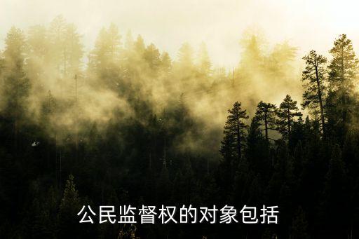 公民監(jiān)督權(quán)的對(duì)象包括