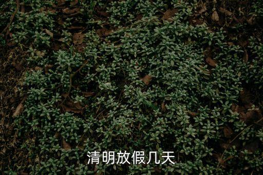 清明節(jié)假期安排,23年清明節(jié)假期安排