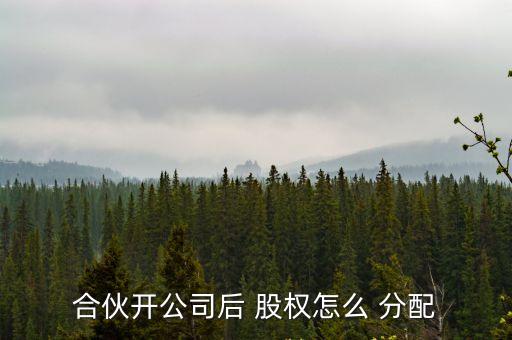 股權(quán)分配比例怎么算,兩人股份分配比例怎么算出來的