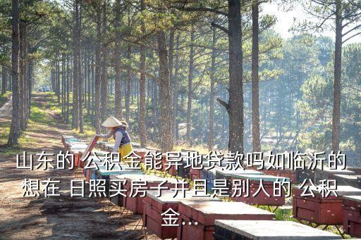 日照公積金