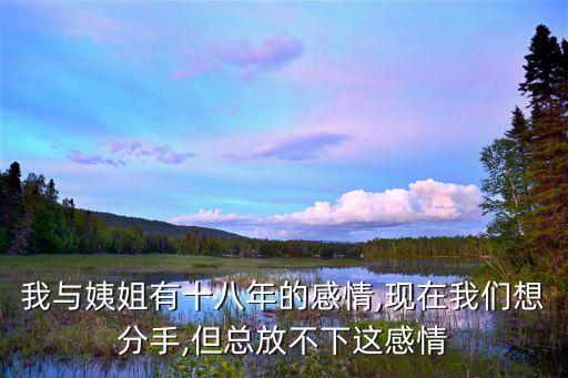 我和姨