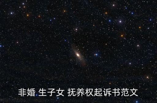 非婚 生子女 撫養(yǎng)權(quán)起訴書范文