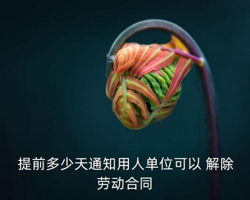 勞務(wù)協(xié)議提前幾天解除,解除勞務(wù)協(xié)議需要提前多長(zhǎng)時(shí)間告知